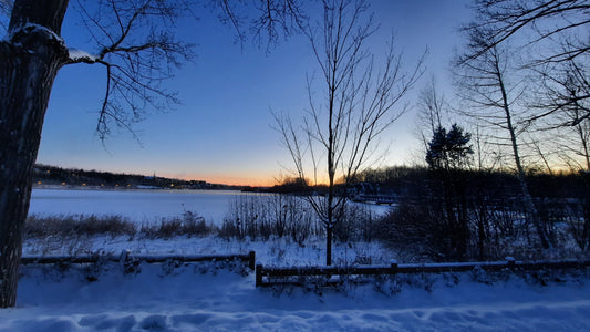 2022-01-03 (Vue Bp3) Aube