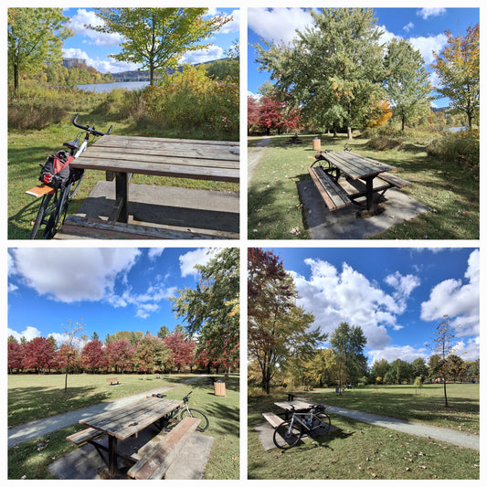 2024-10-05 Rest area (View Table 5)