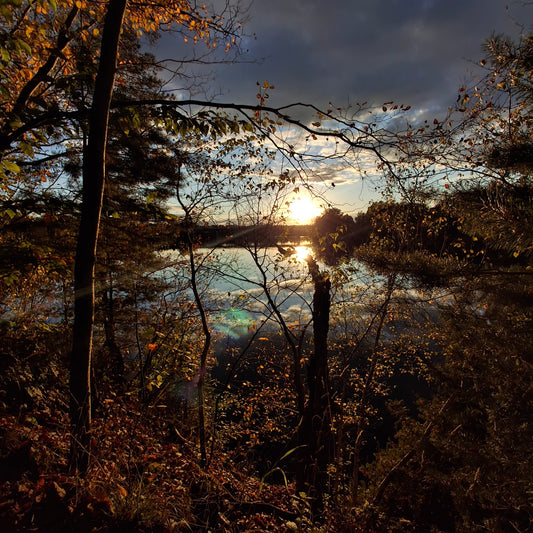 2024-10-08 17:47 (View 2.3)