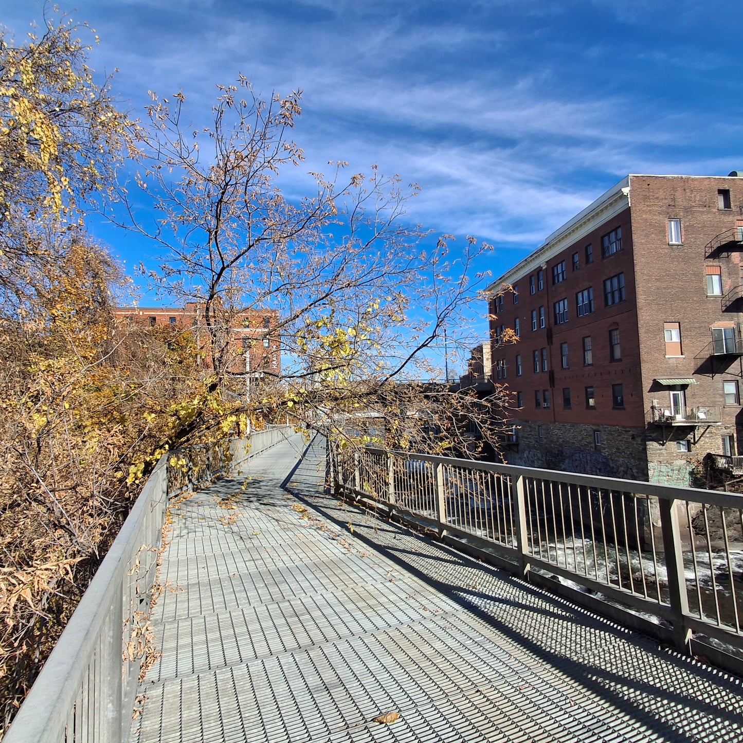 2024-10-25 Find what's wrong (2 photos)