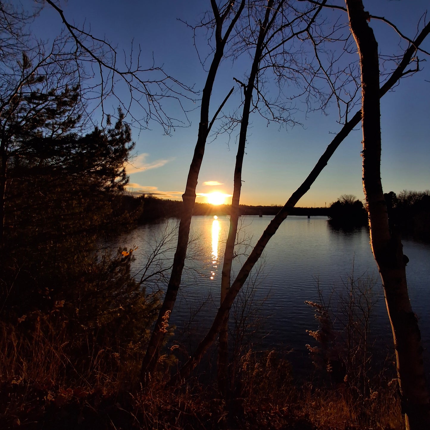 2024-11-16 15:55 (View 2.1)