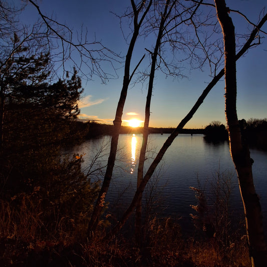 2024-11-16 15:55 (View 2.1)