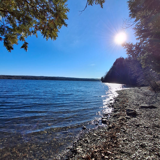 2024-11-17 10:14 Massawippi Trails (Ethan Beach View)