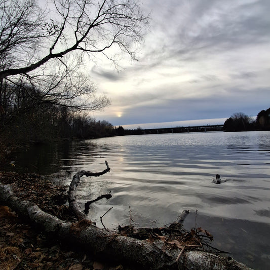 2024-11-17 15:26 (View 1)