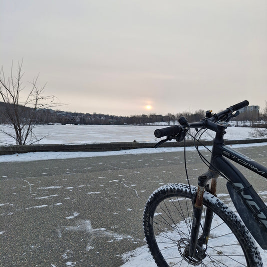 2025-12-22 (Vue Banc Poisson 1)