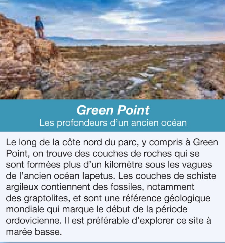 Gros Morne informations