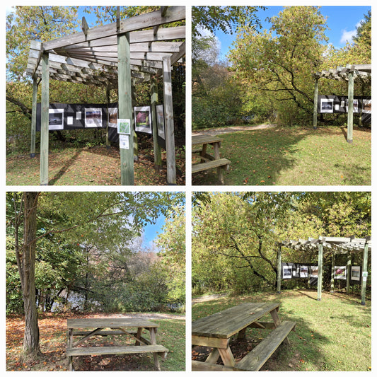 2024-10-05 11:20 Rest area (View Espace Photos Sherbrooke)