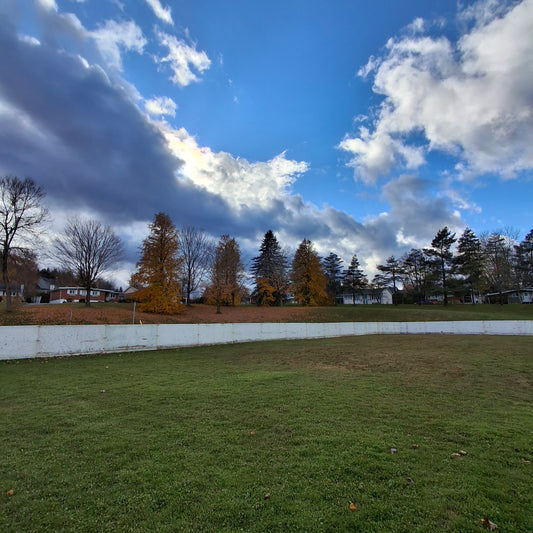The ice rink (View of Parc St-Alphonse)