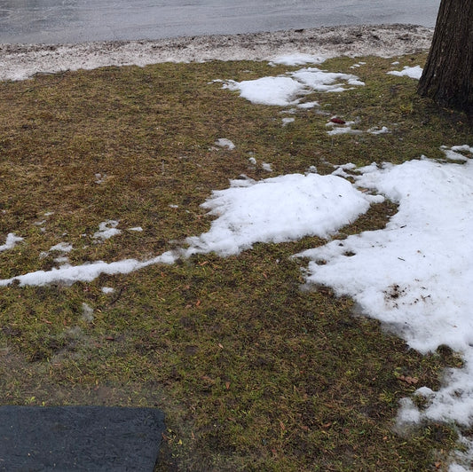 2025-12-19 La pluie intense