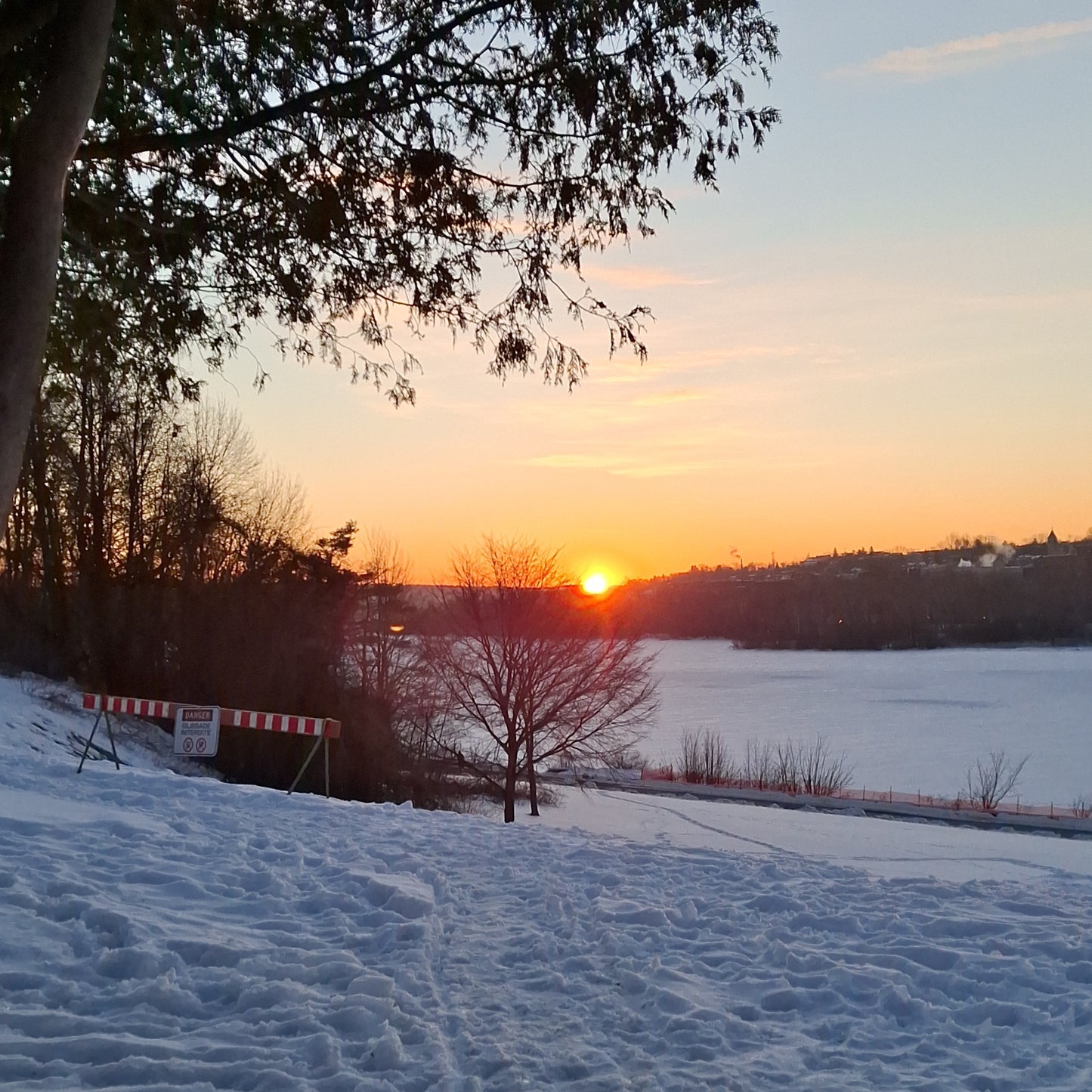 Bon Voyage Guylaine Larone (1963 - 2026) à Sherbrooke - 62 ans