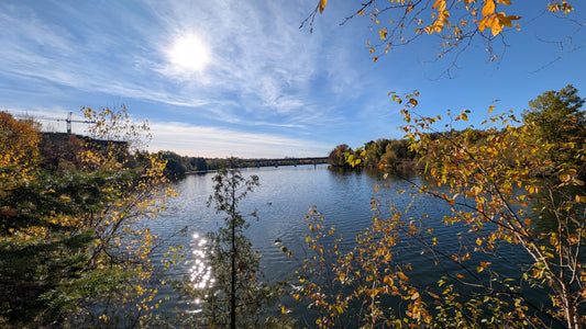2026-10-10 15:29 (Vue 2.3)