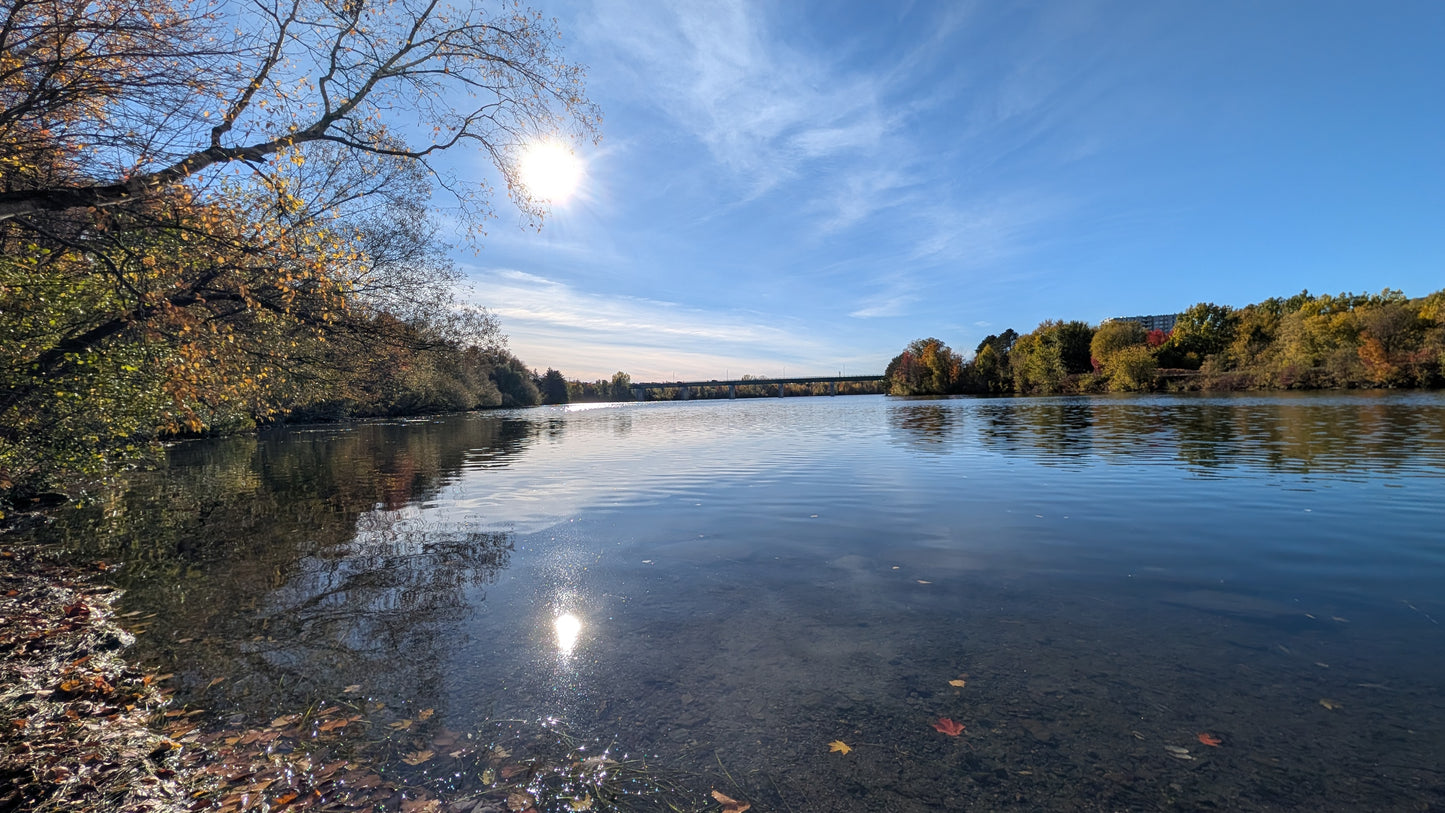 2026-10-10 15:52 (Vue 1)