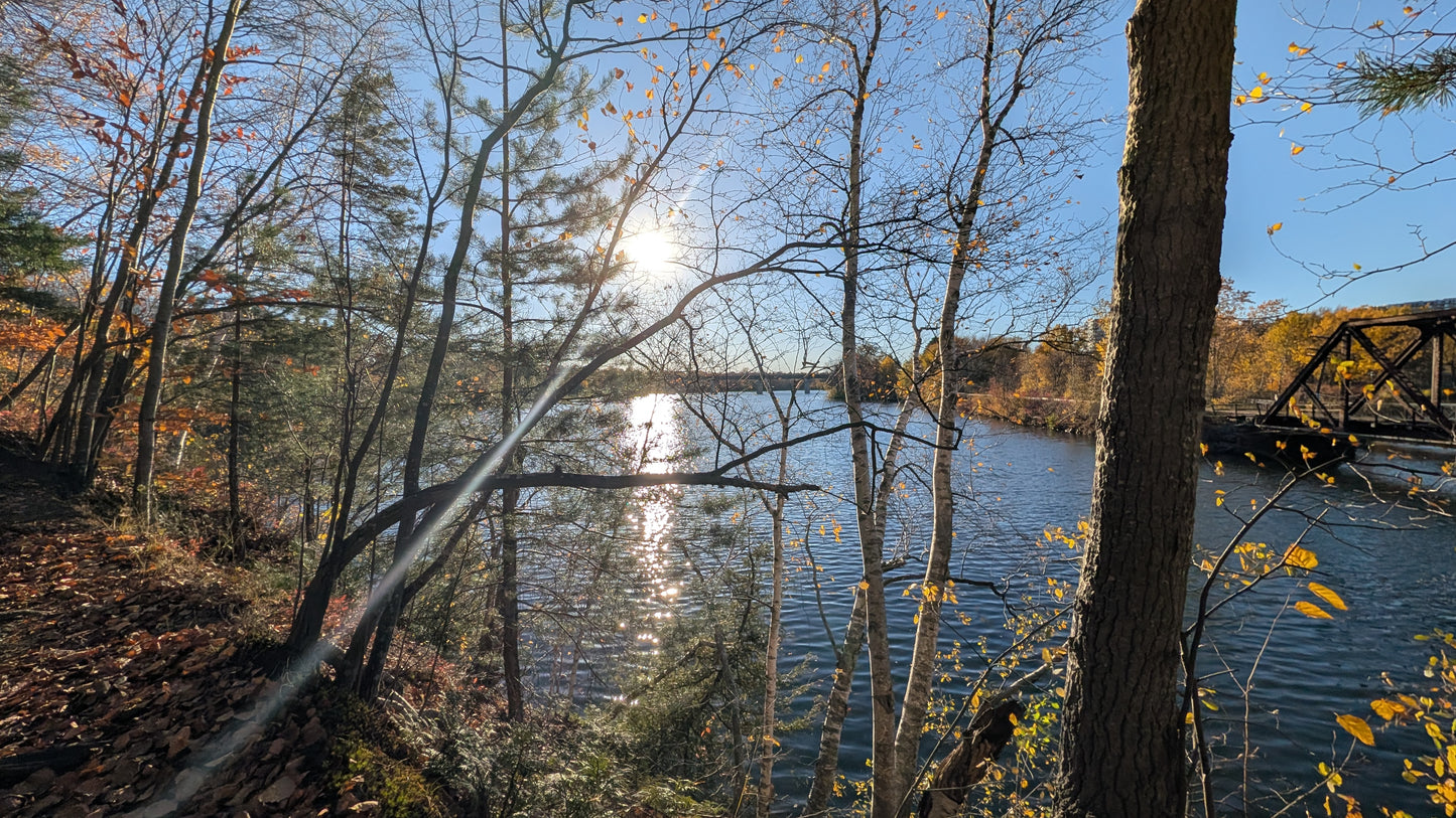 2026-10-19 (Vue 2.3)