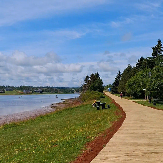 Paseo Rustico Norte