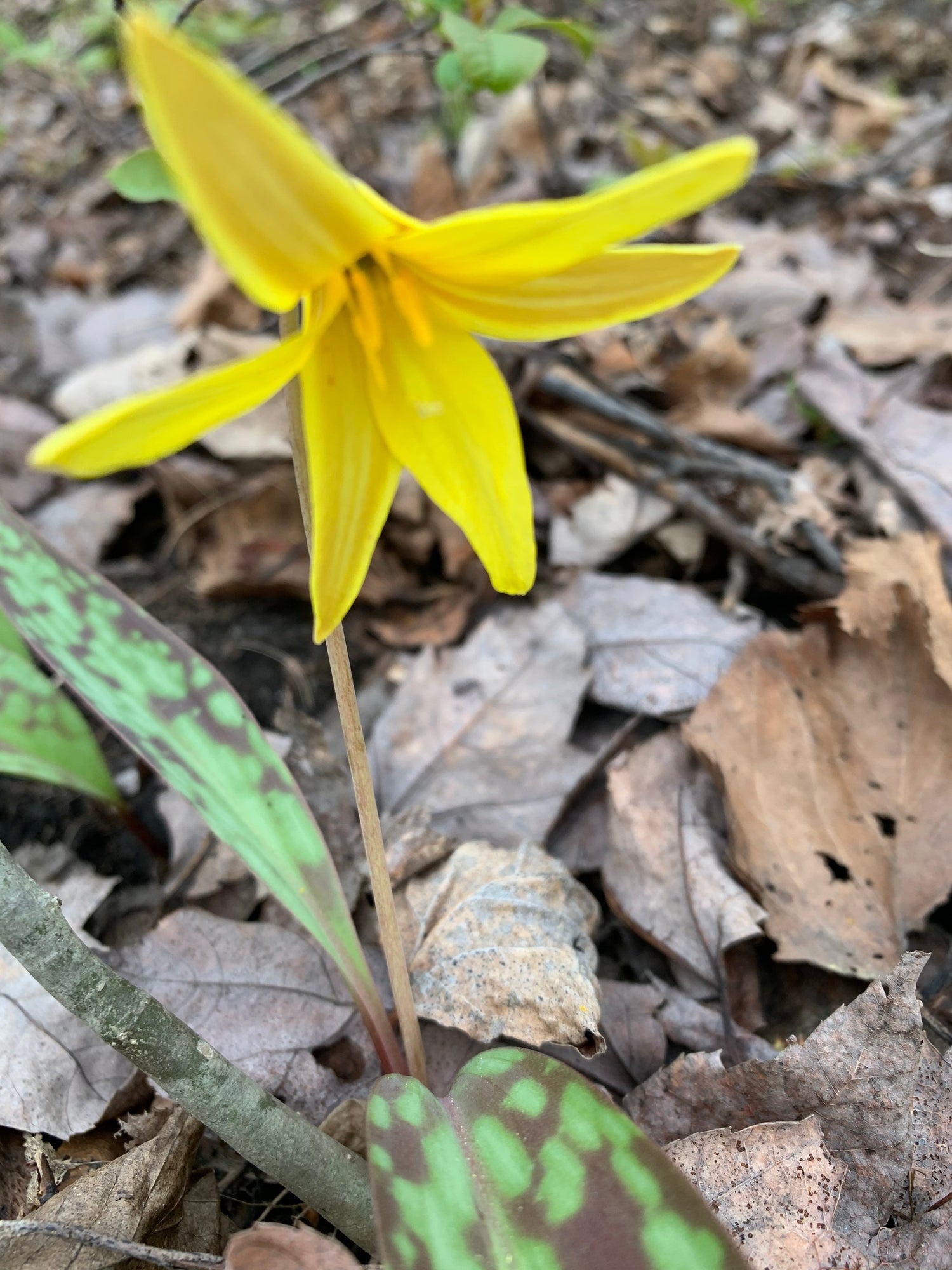 7 Mai 2021 C’est Vendredi ☺️